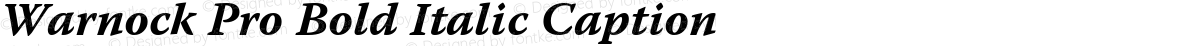 Warnock Pro Bold Italic Caption