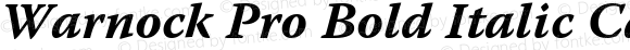 Warnock Pro Bold Italic Caption