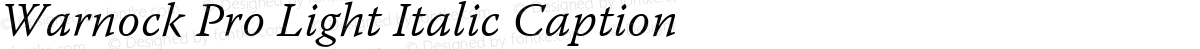 Warnock Pro Light Italic Caption