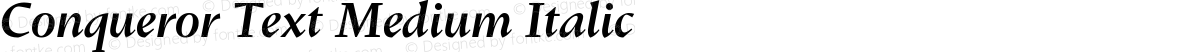 Conqueror Text Medium Italic