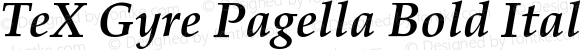 TeX Gyre Pagella Bold Italic