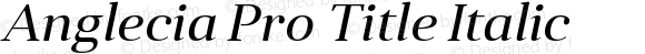 Anglecia Pro Title Italic Version 001.000