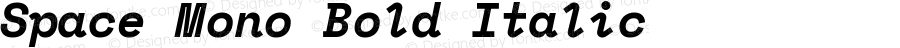 Space Mono Bold Italic