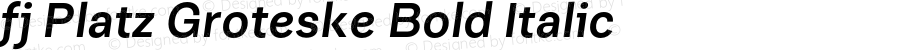 fj Platz Groteske Bold Italic