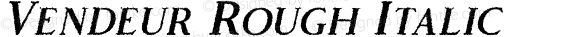 Vendeur Rough Italic