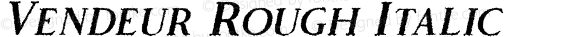 Vendeur Rough Italic