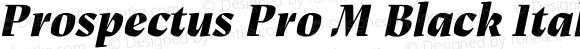 Prospectus Pro M Black Italic