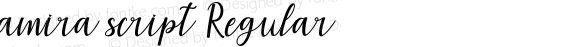 amira script Regular Version 1.000