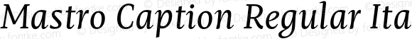 Mastro Caption Regular Italic