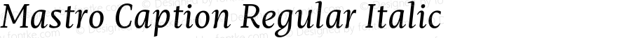 Mastro Caption Regular Italic