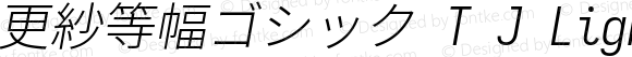 更紗等幅ゴシック T J Light Italic