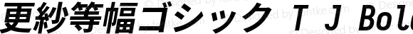 更紗等幅ゴシック T J Bold Italic