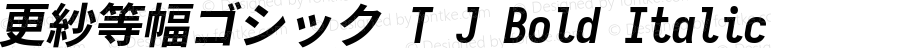 更紗等幅ゴシック T J Bold Italic