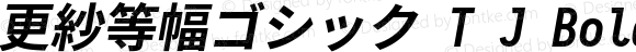 更紗等幅ゴシック T J Bold Italic