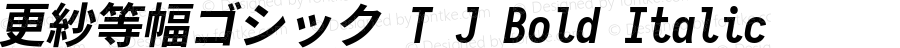 更紗等幅ゴシック T J Bold Italic