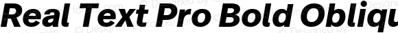 Real Text Pro Bold Oblique