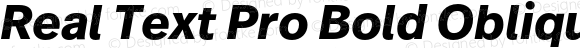 Real Text Pro Bold Oblique