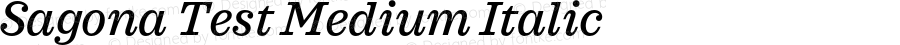 Sagona Test Medium Italic