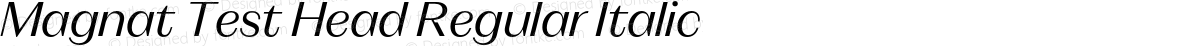 Magnat Test Head Regular Italic