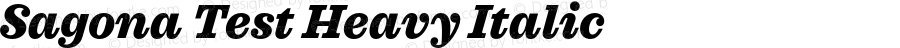 Sagona Test Heavy Italic