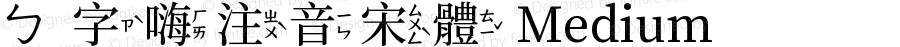 ㄅ字嗨注音宋體 Medium 