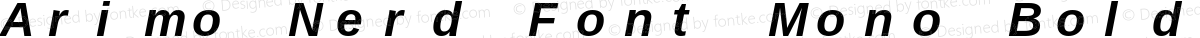 Arimo Nerd Font Mono Bold Italic