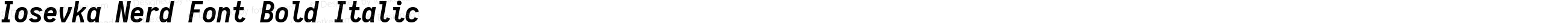 Iosevka Nerd Font Bold Italic