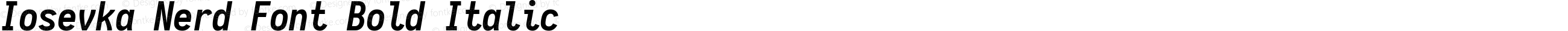 Iosevka Nerd Font Bold Italic