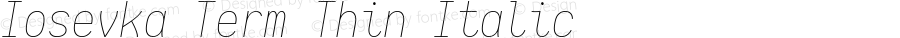 Iosevka Term Thin Italic