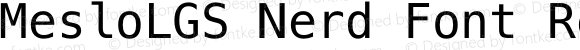 MesloLGS Nerd Font RegularForPowerline