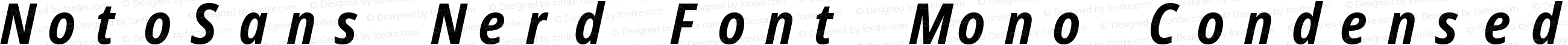 NotoSans Nerd Font Mono Condensed Bold Italic