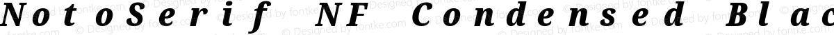 NotoSerif NF Condensed Black Italic