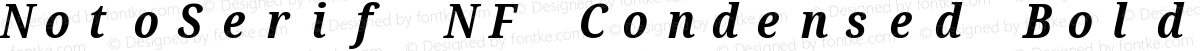 NotoSerif NF Condensed Bold Italic