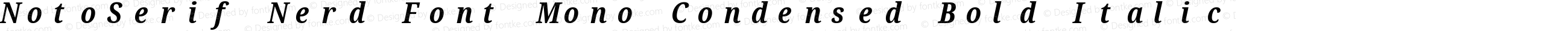 NotoSerif Nerd Font Mono Condensed Bold Italic