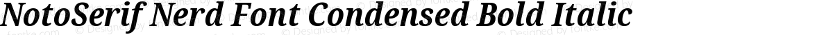 NotoSerif Nerd Font Condensed Bold Italic