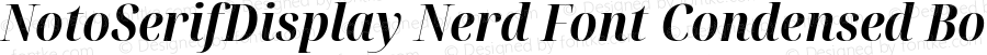 Noto Serif Display Condensed Bold Italic Nerd Font Complete