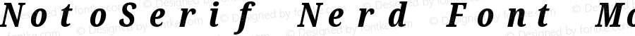 Noto Serif ExtraCondensed ExtraBold Italic Nerd Font Complete Mono
