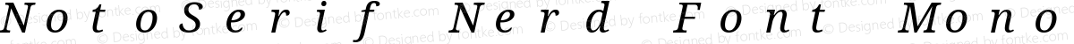 NotoSerif Nerd Font Mono Italic