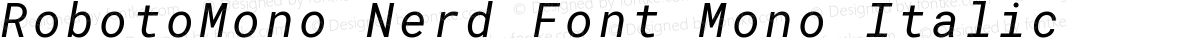 RobotoMono Nerd Font Mono Italic