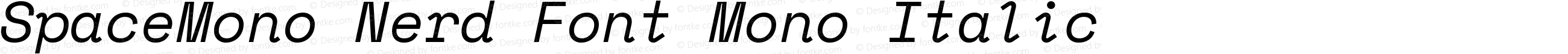 SpaceMono Nerd Font Mono Italic