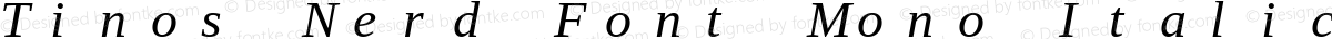 Tinos Nerd Font Mono Italic