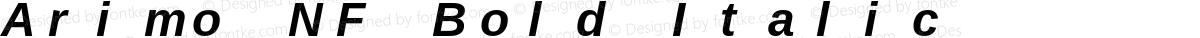 Arimo NF Bold Italic