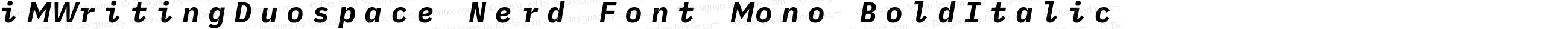 iM Writing Duospace BoldItalic Nerd Font Complete Mono