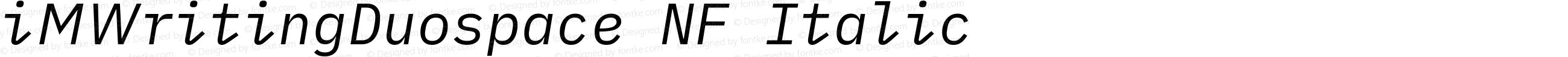 iM Writing Duospace Italic Nerd Font Complete Windows Compatible
