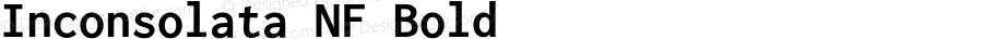 Inconsolata Bold Nerd Font Complete Mono Windows Compatible