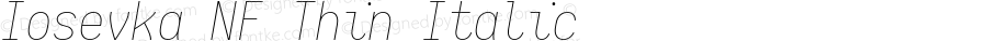 Iosevka Term Thin Italic Nerd Font Complete Mono Windows Compatible