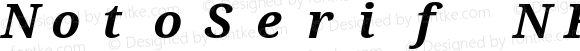 NotoSerif NF Bold Italic