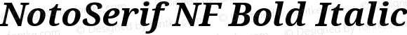 NotoSerif NF Bold Italic