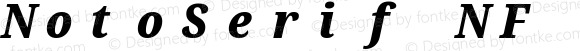 NotoSerif NF Condensed Black Italic
