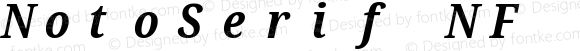 NotoSerif NF Condensed Bold Italic